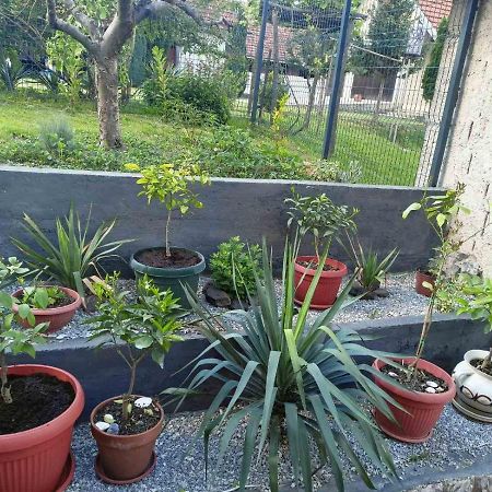 Apartman Excluziv 普里耶多尔 外观 照片