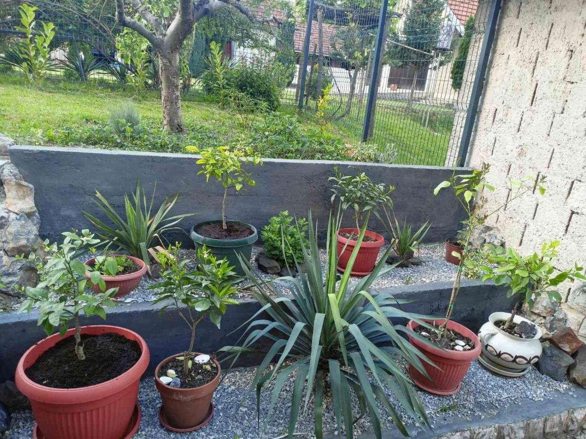Apartman Excluziv 普里耶多尔 外观 照片